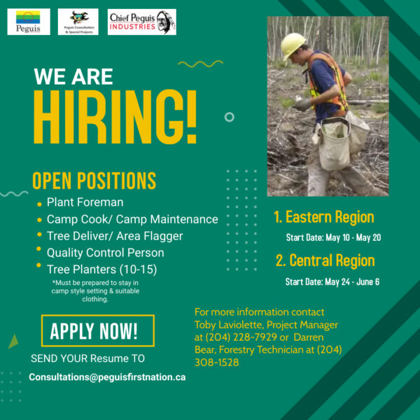 We Are Hiring - Tree Planting - Peguis First Nation Consultation ...